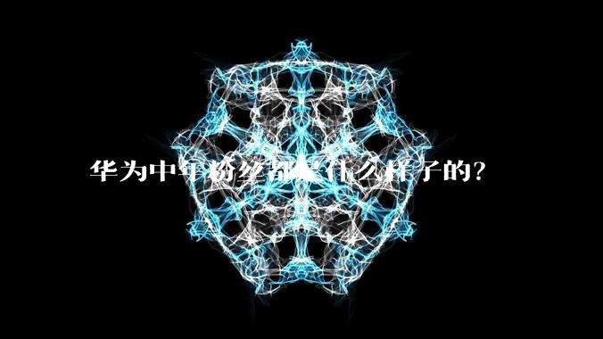 华为中年粉丝都是什么样子的？