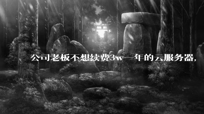 公司老板不想续费3w一年的云服务器，合理吗？
