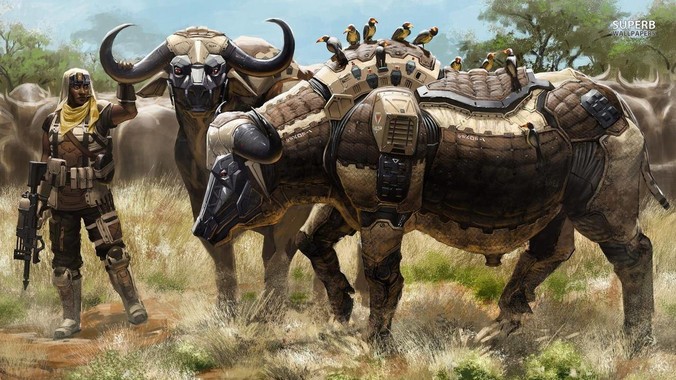 乡下的土鸡真的值100块钱吗？